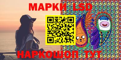 гидра Будённовск