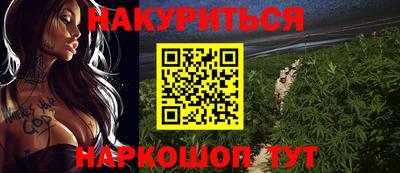 гидра Будённовск