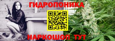 гидра Будённовск