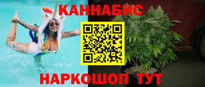 гидра Будённовск
