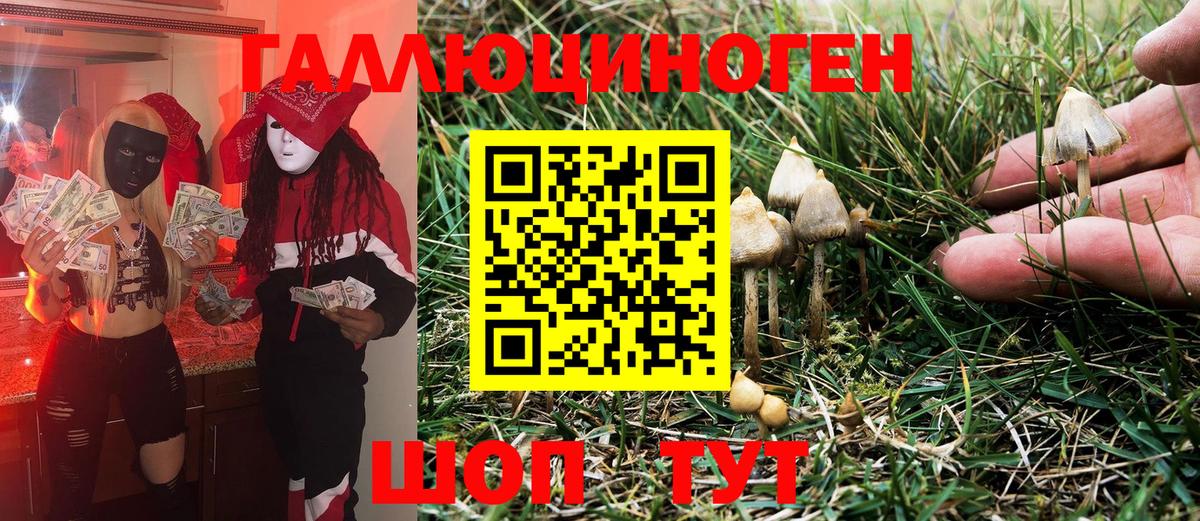 Галлюциногенные грибы Magic Shrooms Севастополь
